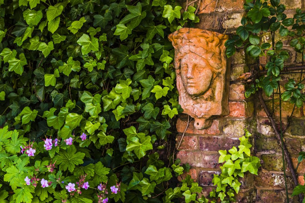 Jilayne Rickards Cornwall Garden Designer