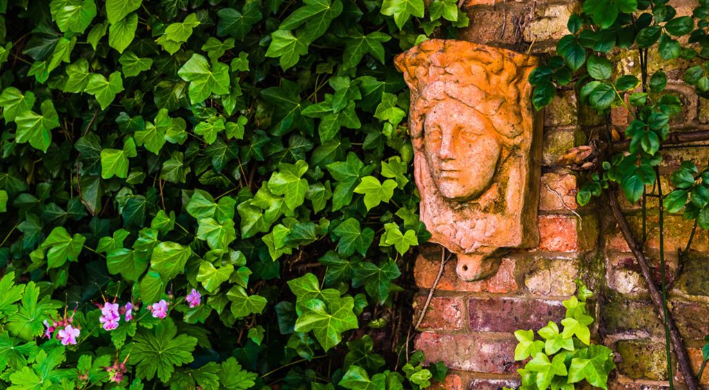Jilayne Rickards Cornwall Garden Designer