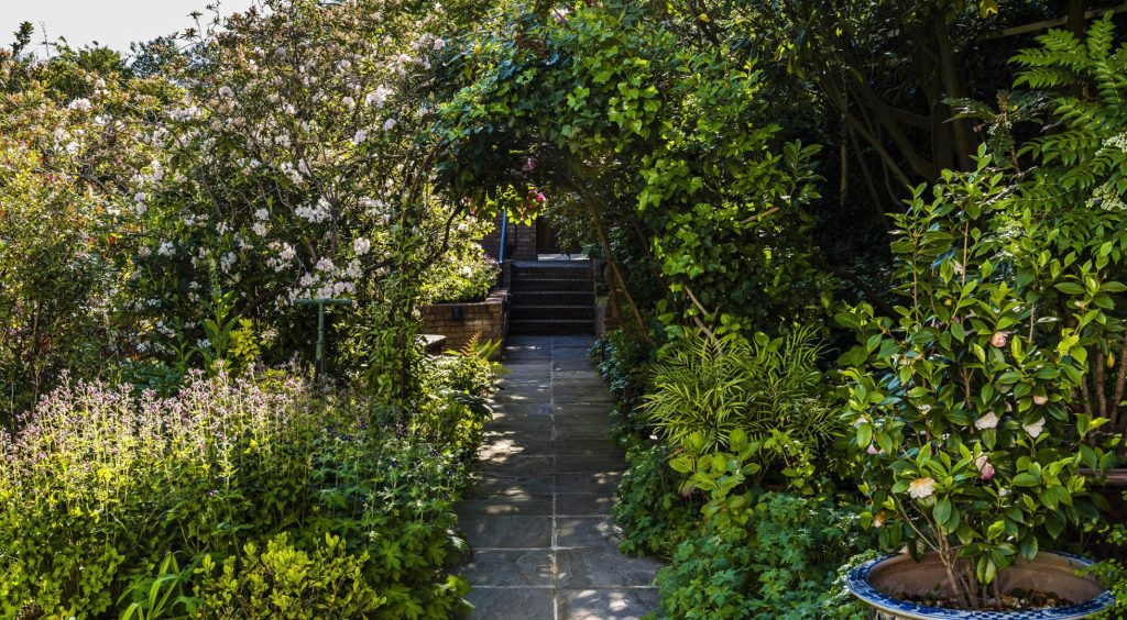 Jilayne Rickards Cornwall Garden Designer